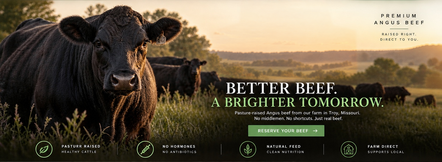 Missouri Angus cattle in pasture. Better Beef. A Brighter Tomorrow. Pasture-raised Angus beef from our farm in Troy, Missouri. No middlemen. No shortcuts. Just real beef.